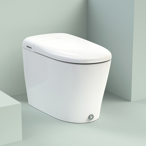 Coit Smart Bidet Toilet