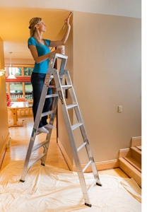 Werner-Switchback-ladder