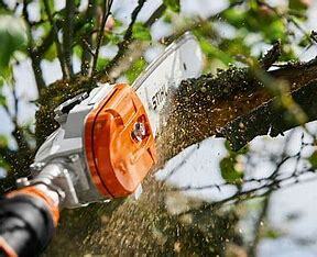 STIHL 135 pole pruner HTA 135 Pole Pruner With AP 500 S 36V Battery from Stihl