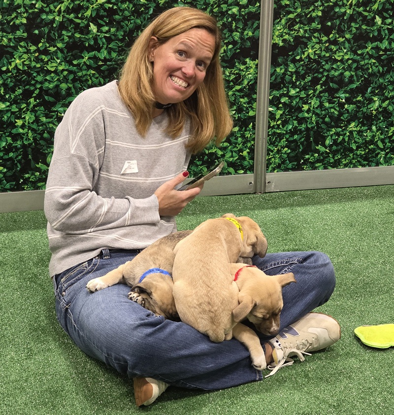 Puppy Lounge Inside Orgill’s 2026 Dealer Market: Buying, Strategy and Store Concepts
