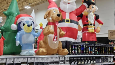 side by side display lights inflatable Wholesale Buyers’ View of Holiday Product Sales