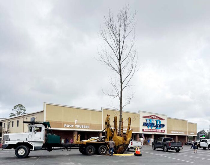 How to Grow Beyond Your Market — W.B. Howland Company 4 New pecan tree How to Grow Beyond Your Market — W.B. Howland Company