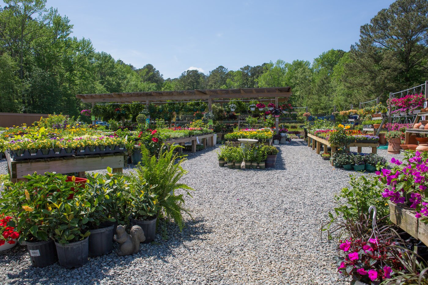 The 12,000-square-foot garden center is a return to Kathryn Tatterson’s family roots with a wholesale greenhouse business.
