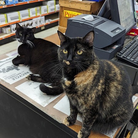 Aubuchon Company Launches Special Campaign to Raise Funds for Vermont Flood Recovery 3 Aubuchon 3 1 Aubuchon Company Launches Special Campaign to Raise Funds for Vermont Flood Recovery